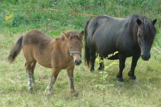 http://cedesmillieres.fr/sites/default/files/imagecache/preset3/040.JPG