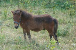 http://cedesmillieres.fr/sites/default/files/imagecache/preset3/043.JPG