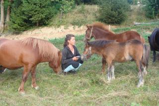 http://cedesmillieres.fr/sites/default/files/imagecache/preset3/054.JPG