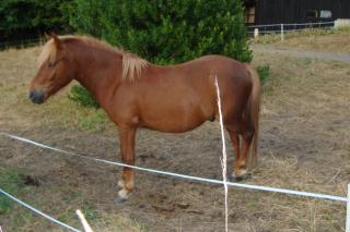http://cedesmillieres.fr/sites/default/files/imagecache/preset3/057.JPG