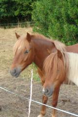 http://cedesmillieres.fr/sites/default/files/imagecache/preset3/060.JPG