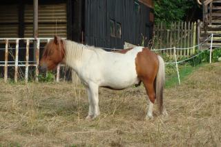 http://cedesmillieres.fr/sites/default/files/imagecache/preset3/061.JPG