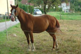 http://cedesmillieres.fr/sites/default/files/imagecache/preset3/064.JPG