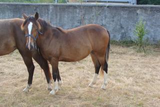 http://cedesmillieres.fr/sites/default/files/imagecache/preset3/073.JPG