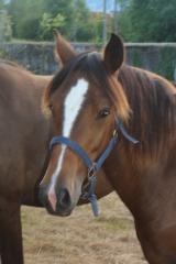 http://cedesmillieres.fr/sites/default/files/imagecache/preset3/074.JPG