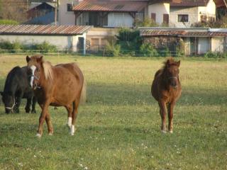 http://cedesmillieres.fr/sites/default/files/imagecache/preset3/141.JPG