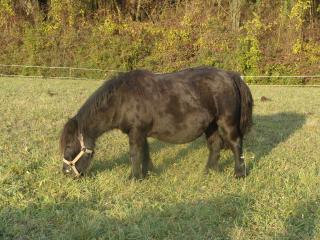 http://cedesmillieres.fr/sites/default/files/imagecache/preset3/144.JPG