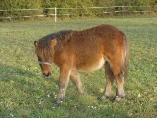 http://cedesmillieres.fr/sites/default/files/imagecache/preset3/152.JPG