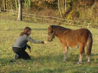 http://cedesmillieres.fr/sites/default/files/imagecache/preset3/165.JPG