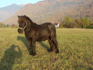 http://cedesmillieres.fr/sites/default/files/imagecache/preset3/171.JPG