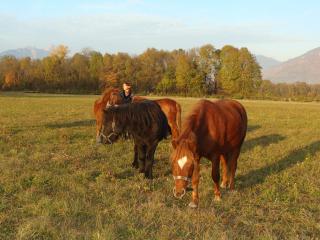 http://cedesmillieres.fr/sites/default/files/imagecache/preset3/173.JPG