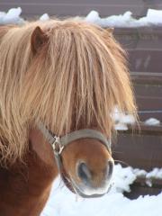 http://cedesmillieres.fr/sites/default/files/imagecache/preset3/DSC00054.JPG