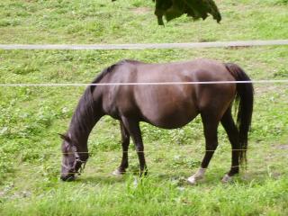 http://cedesmillieres.fr/sites/default/files/imagecache/preset3/P8010183_0.JPG